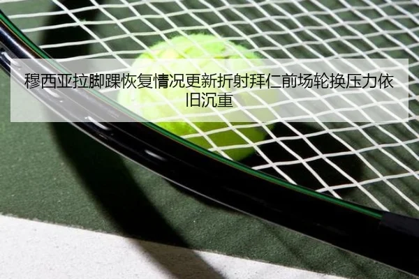 img_1783705459366_436_1_648.jpg